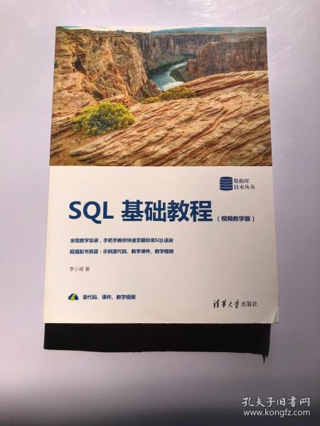 SQL基础教程（视频教学版）（数据库技术丛书）