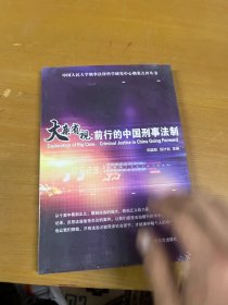 大案省视：前行的中国刑事法制/中国人民大学刑事法律科学研究中心刑案点评丛书