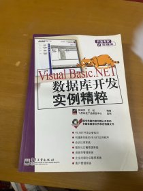 Visual Basic.NET数据库开发实例精粹（含盘一张）