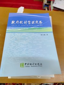 政府统计管理实务 内页干净