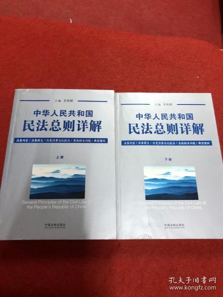 中华人民共和国民法总则详解（套装上下册）