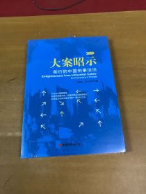 大案昭示:前行的中国刑事法治 时延安 刘计划 中国言实出版社