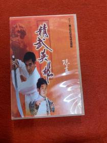 DVD 光盘 11碟 精武英雄陈真