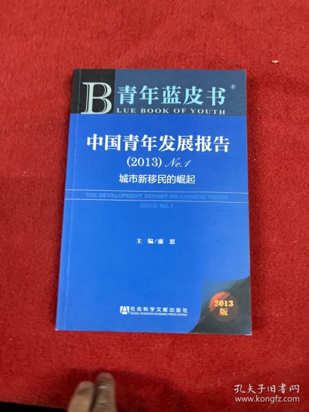 中国青年发展报告. （2013）No.1：城市新移民的崛起