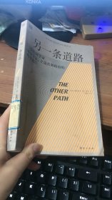 另一条道路：一位经济学家对法学家、立法者和政府的明智忠告