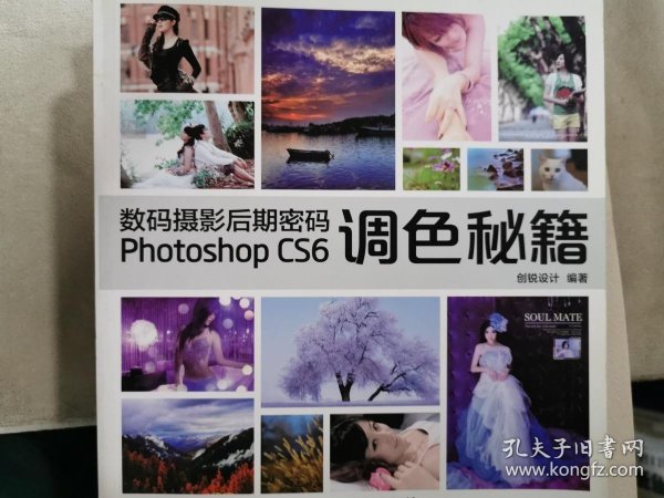 数码摄影后期密码Photoshop CS6调色秘籍（无盘）