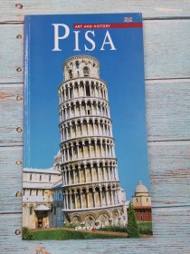 pisa art and history