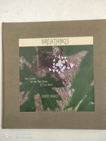 Breathings: Tiny Stories for the Thin Places of Your Heart