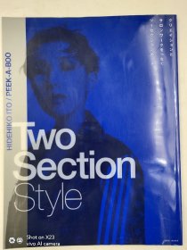 クリエイションとサロンワークをつなぐツーセクションカット Two Section Style日语