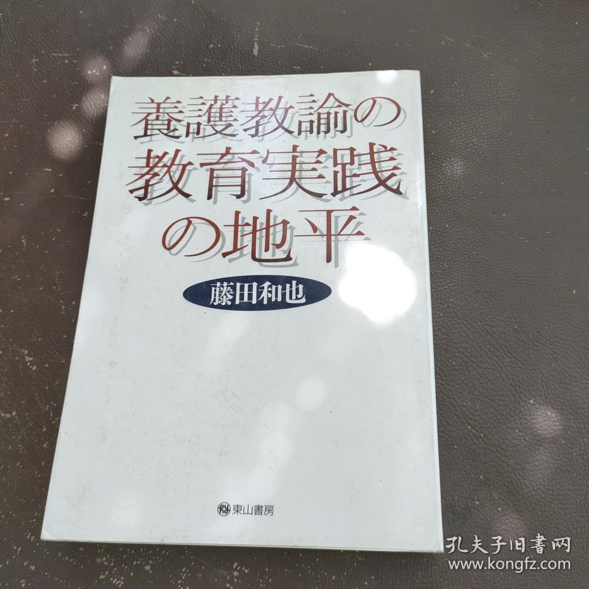 原版日本日文书 养护教论実践论 藤田和也 株式会社青木书店 32开硬精装
