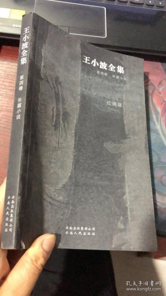 王小波全集：红拂夜奔（第四卷）：王小波全集第四卷 长篇小说