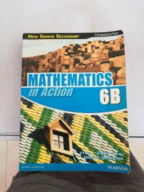 Mathematics in Action（6B）