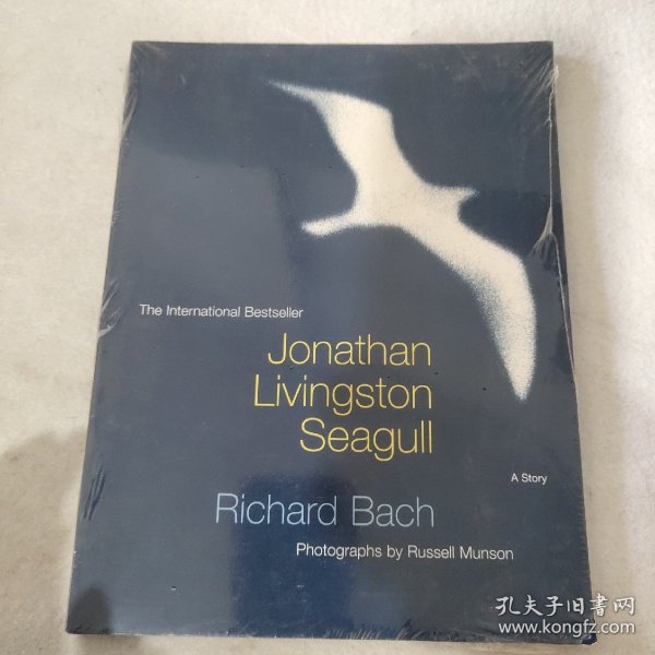 Jonathan Livingston Seagull