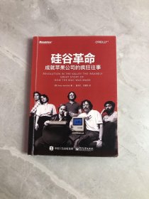 硅谷革命：成就苹果公司的疯狂往事