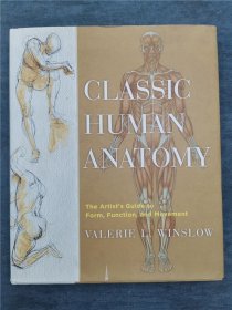 Classic Human Anatomy: The Artist's Guide to Form  Function  and Movement