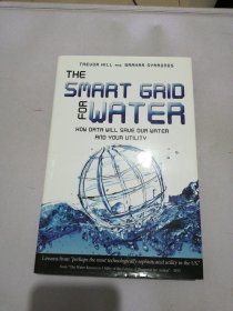 The Smart Grid for Water: How Data Will Save Our