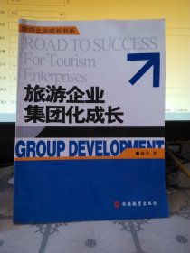 旅游企业集团化成长