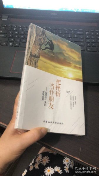 把挫折当作朋友：改变你一生的智慧宝典