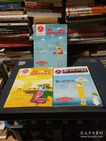 语文报30年优秀习作精选（小学卷）：掌心的阳光