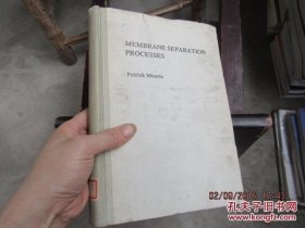 membrane separation processes 精 8038