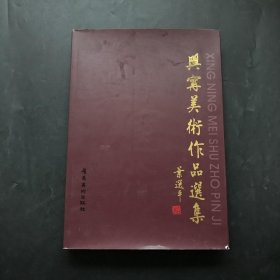 兴宁美术作品选集 8开精装护封