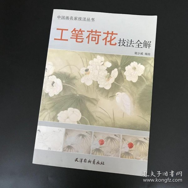 中国画名家技法丛书：工笔荷花技法全解