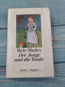 meir shalev der junge und die taube 德语