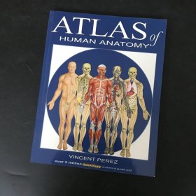 Atlas of Human Anatomy