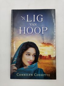 N'LIG VAN HOOP其他语种