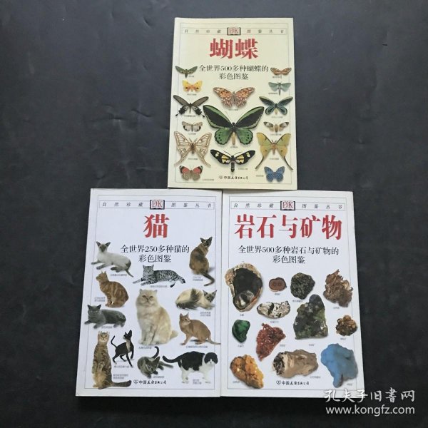 岩石与矿物：全世界500多种岩石与矿物的彩色图鉴