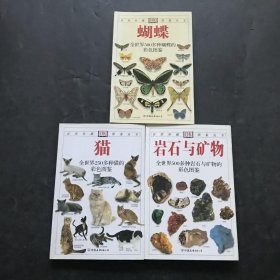 岩石与矿物：全世界500多种岩石与矿物的彩色图鉴