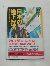 日本の地下経済 日文版