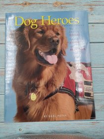 Dog Heroes