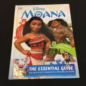 THE ESSENTIAL GUIDE