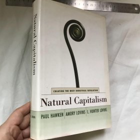 英文 自然资本主义 NATURAL CAPITALISM