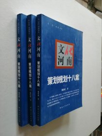 文化河南 策划规划十八案（发展河南文化产业的策划文本与规划方案【上中下】全三册