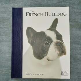 French Bulldog - Best Of Breed