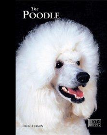 The Poodle - Best of Breed