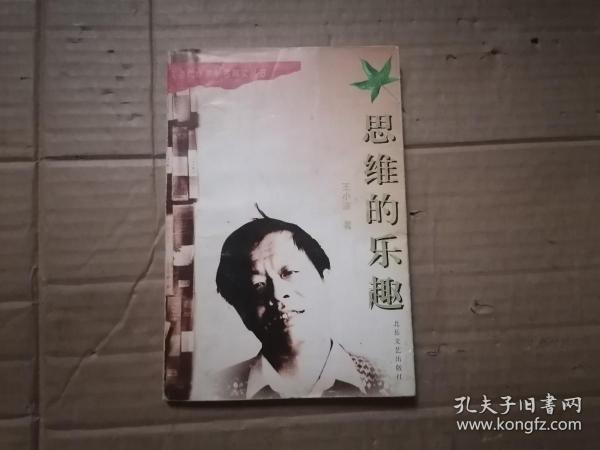 思维的乐趣：当代作家学者散文丛书