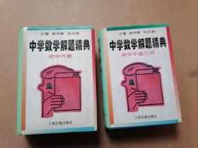 中学数学解题精典：平面几何+初中代数 (两本合售)