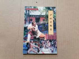 中国嵩山少林寺武功传世秘笈 少林寺小洪拳