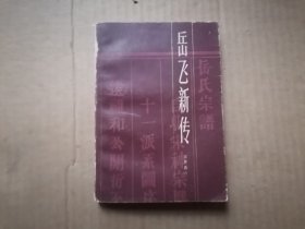 岳飞新传