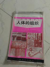 初中课本生理卫生教学挂图《人体的组织》全6张