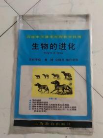 生物的进化 挂图全五幅 七种脊椎动物和人的胚胎发生比较图。等