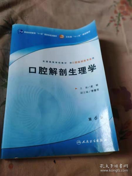 口腔解剖生理学