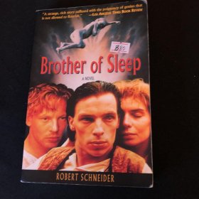 Brother of sleep