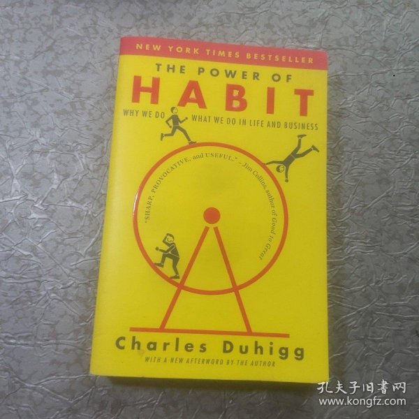 The Power of Habit: Why We Do What We Do in Life and Business习惯的力量 英文原版