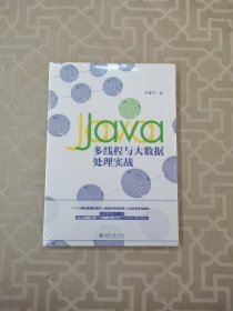 Java多线程与大数据处理实战