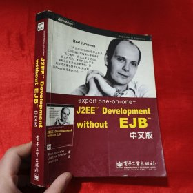 expert one-on-one J2EE Development without EJB 中文版