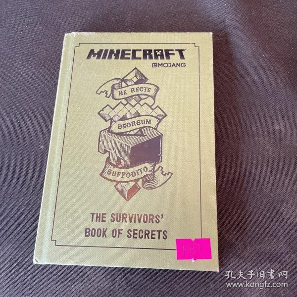 The Survivor’s Book of Secrets